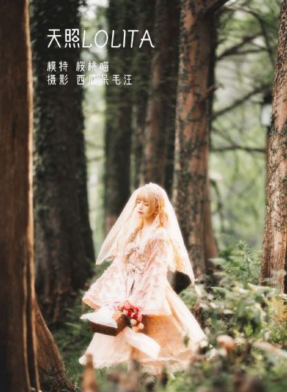 浪漫樱花动漫观看免费高清_1080完整在线观看