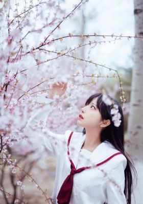 张津瑜在线观看_蓝光全集在线观看