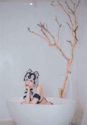花儿与少年6_DVD影视在线观看